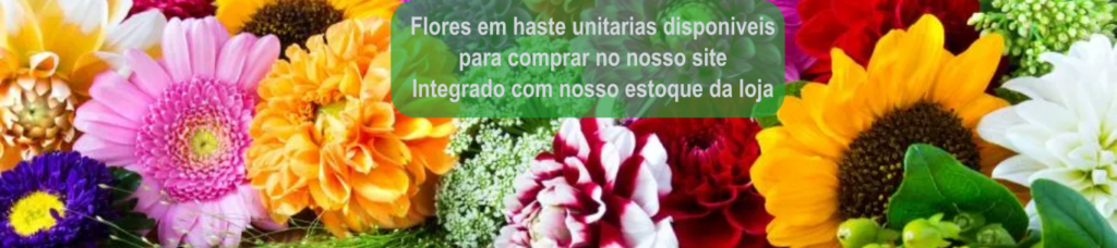 foto do site de flores avulsas