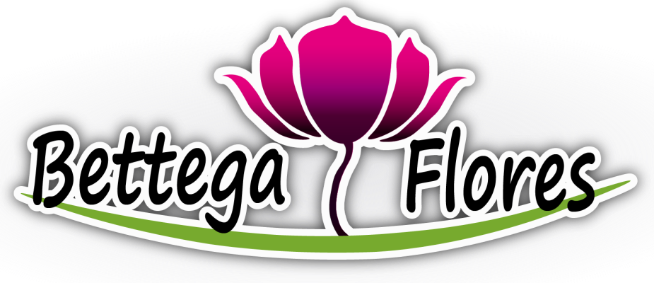 Logo formato banner floricultura Bettega Flores