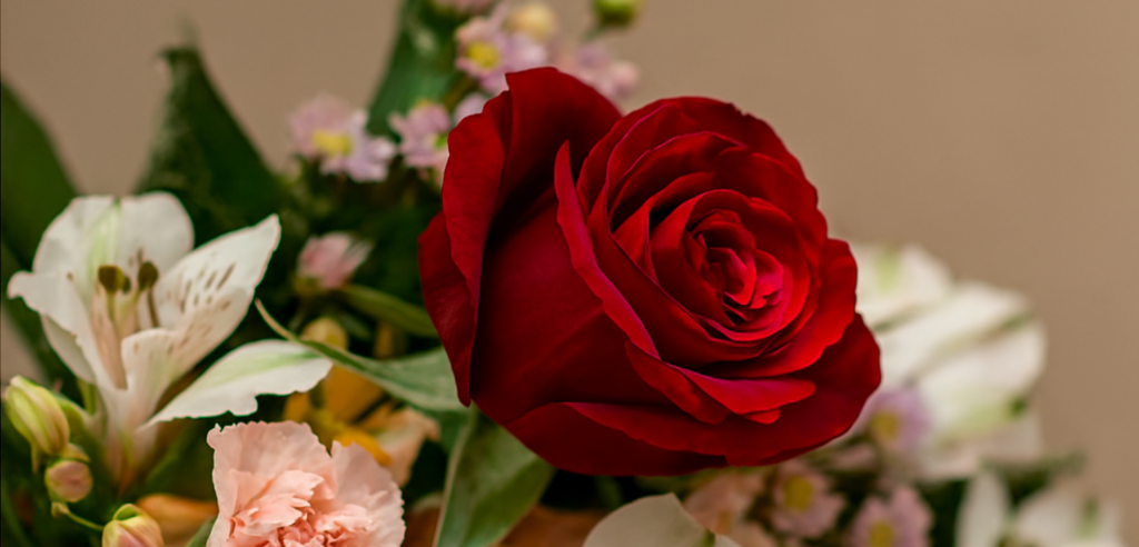 Por que trabalhamos apenas com rosas importadas?