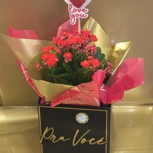 Vaso de Kalanchoe em Caixa Decorada "Pra Você" com Pick de Coração