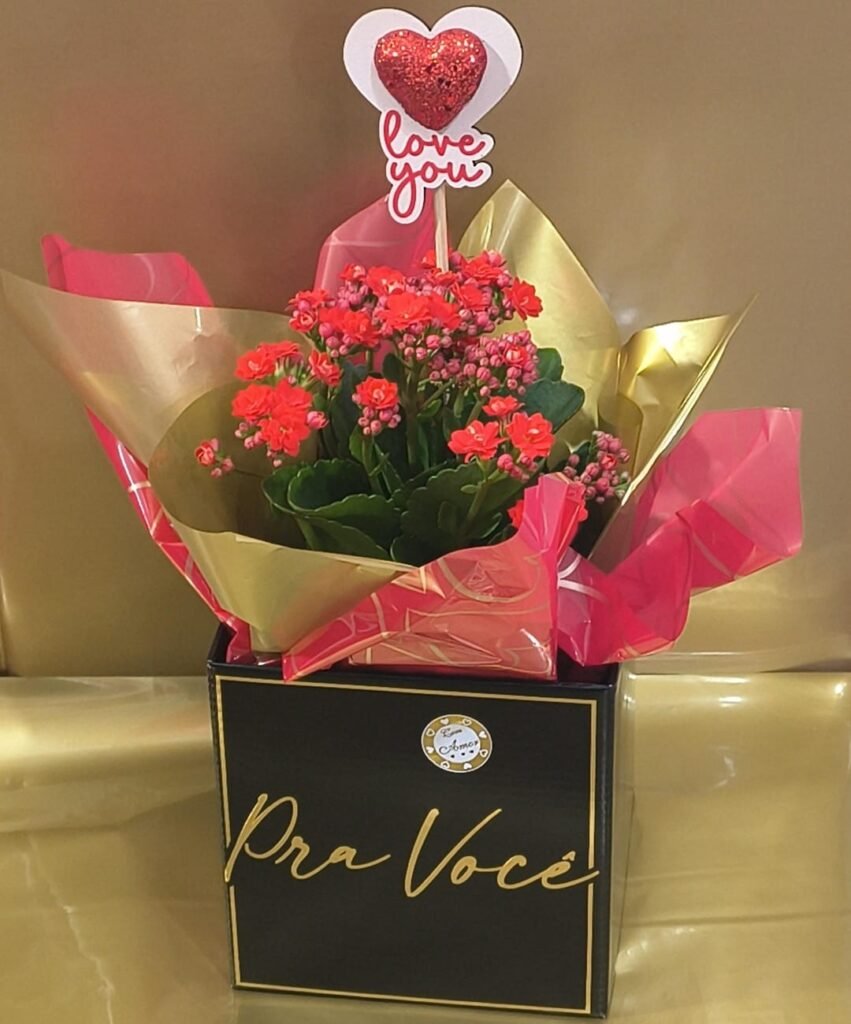Vaso de Kalanchoe em Caixa Decorada "Pra Você" com Pick de Coração