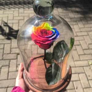 Rosa Pequeno Príncipe Arco Iris