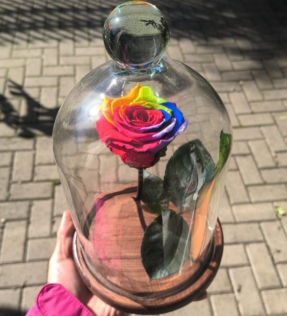 RosaPreservadaArcoIris